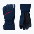 Vyrų slidinėjimo pirštinės Rossignol Perf R-Shell Thermal dark navy 2