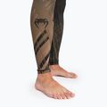 Vyriškos tamprės Venum Gorilla Jungle Spats sand/black 5