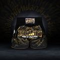 Treniruočių šortai Venum Attack Muay Thai black/gold 6