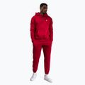 Vyriškas džemperis Venum Silent Power Hoodie cherry red 2