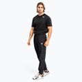 Vyriškos kelnės Venum Trooper Men's Tracksuit Pants black/purple 2