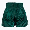 Vyriški treniruočių šortai Venum Classic Muay Thai khaki 2