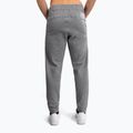 Vyriškos kelnės Venum City Core Joggers cloud grey 2