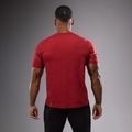 Vyriški marškinėliai Venum Giant Connect T-Shirt carmin 2