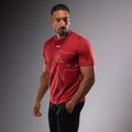 Vyriški marškinėliai Venum Giant Connect T-Shirt carmin 3