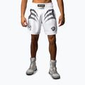Vyriški treniruočių šortai Venum x Mike Tyson Tiger optical white/deep black