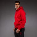 Vyriškas džemperis Venum x Mike Tyson Tiger Hoodie intense red/deep black 4