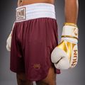 Vyriški treniruočių šortai Venum Classic Boxing burgundy 5