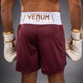Vyriški treniruočių šortai Venum Classic Boxing burgundy 6