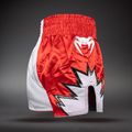 Treniruočių šortai Venum Inferno 2.0 Muay Thai red/white 4