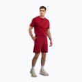 Vyriški treniruočių šortai Venum Giant 3D Cotton red 2