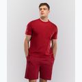Vyriški marškinėliai Venum Giant 3D red 3