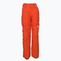 Quiksilver Estate vaikiškos snieglenčių kelnės oranžinės EQBTP03033