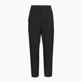 Moteriškos snieglenčių kelnės DC Nonchalant black 8