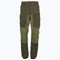 Quiksilver vyriškos Tr Stretch snieglenčių kelnės žalia EQYTP03165