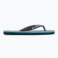 Vyriškos šlepetės Quiksilver Molokai Panel blue 2