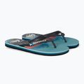 Vyriškos šlepetės Quiksilver Molokai Panel blue 5