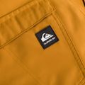 Quiksilver Estate yellow vyriškos snieglenčių kelnės EQYTP03146 3
