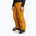 Quiksilver Estate yellow vyriškos snieglenčių kelnės EQYTP03146 7
