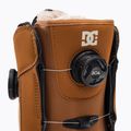 Moteriški snieglenčių batai DC Lotus choco brown/off white 6