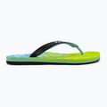 Vyriškos šlepetės Quiksilver Oahuey green AQYL101313 2