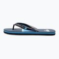 Vyriškos basutės Quiksilver Molokai Airbrushed blue AQYL101317 11