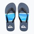 Vyriškos basutės Quiksilver Molokai Airbrushed blue AQYL101317 12