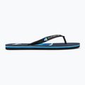 Vyriškos basutės Quiksilver Molokai Airbrushed blue AQYL101317 2