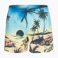 Vyriški "Quiksilver Everyday Paradise Volley" 15 colių maudymosi šortai mėlyni EQYJV03999-YFB6