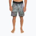Vyriški Quiksilver Highlite Scallop 19 spalvų maudymosi šortai EQYBS04761-BSL6 2