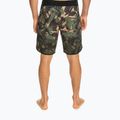 Quiksilver vyriški "Highlite Scallop 19" maudymosi šortai žali EQYBS04761-CQY6 3