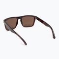Vyriški akiniai nuo saulės Quiksilver Ferris brown tortoise brown 2