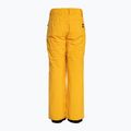 Quiksilver Estate Vaikų snieglenčių kelnės Youth mineral yellow 6