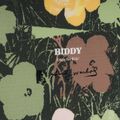 Moterų snieglentės DC AW Biddy in bloom 4