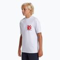 Vaikiški plaukimo marškinėliai Quiksilver Everyday Surf Tee white/black 4