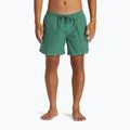 Vyriški maudymosi šortai Quiksilver Everyday Surfwash Volley 15 frosty spurce 3