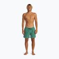 Vyriški maudymosi šortai Quiksilver Everyday Surfwash Volley 15 frosty spurce 4