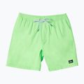 Vyriški maudymosi šortai Quiksilver Everyday Solid Volley 15