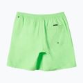 Vyriški maudymosi šortai Quiksilver Everyday Solid Volley 15 2