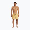 Vyriški maudymosi šortai Quiksilver Everyday Solid Volley 15 4