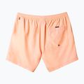 Vyriški maudymosi šortai Quiksilver Everyday Solid Volley 15 2