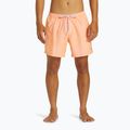 Vyriški maudymosi šortai Quiksilver Everyday Solid Volley 15 3