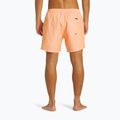 Vyriški maudymosi šortai Quiksilver Everyday Solid Volley 15 5