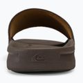 Vyriškos šlepetės Quiksilver Rivi Nubuck Slide brown 1 6