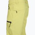 Vyriškos snieglenčių kelnės Quiksilver Utility celery green 10