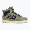 Vyriški batai DC Pure High Top WR green / black / white 2