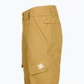 Vaikiškos slidinėjimo kelnės DC Nonchalant mustard gold 8
