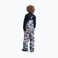 Vaikiškos slidinėjimo kelnės DC Roadblock Youth Bib outer world black 2