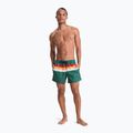 Vyriški maudymosi šortai Quiksilver Everyday Printed Volley 15" forest outside stripe 4