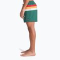 Vyriški maudymosi šortai Quiksilver Everyday Printed Volley 15" forest outside stripe 6